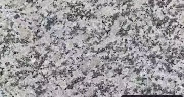 东营 芙蓉白（芝麻白大花）火烧面