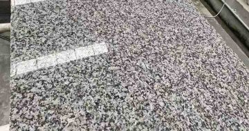 东营 芙蓉白光面