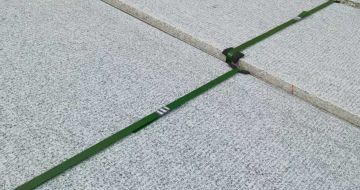 东营 芝麻白斧剁面