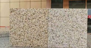 东营 黄金麻荔枝面，中黄与浅黄