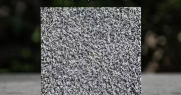 东营 芝麻黑荔枝面