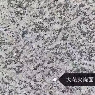 东营 芙蓉白（芝麻白大花）火烧面