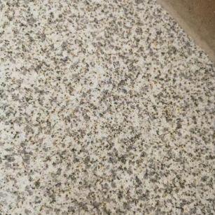 东营 黄金麻中黄光面