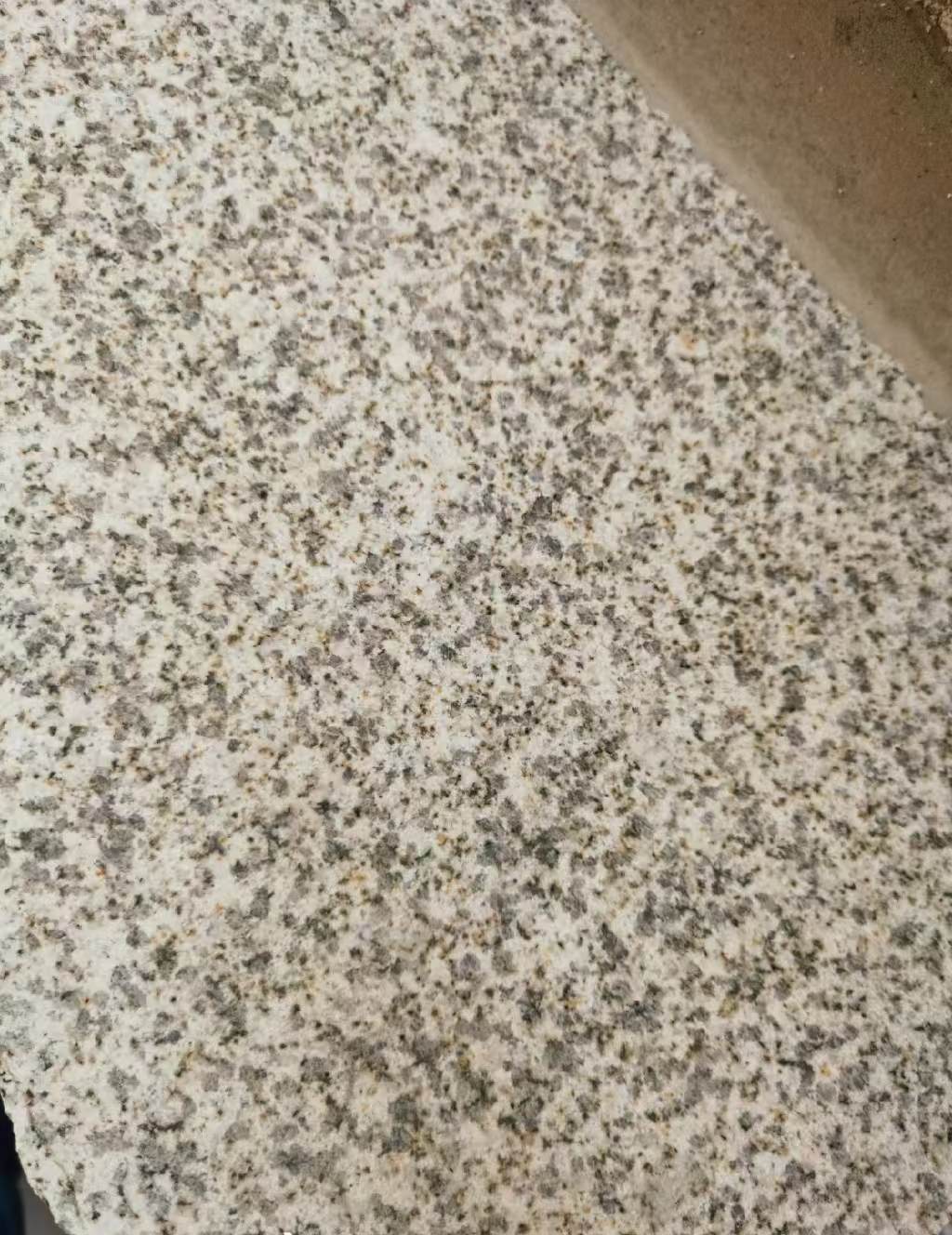 东营 黄金麻中黄光面