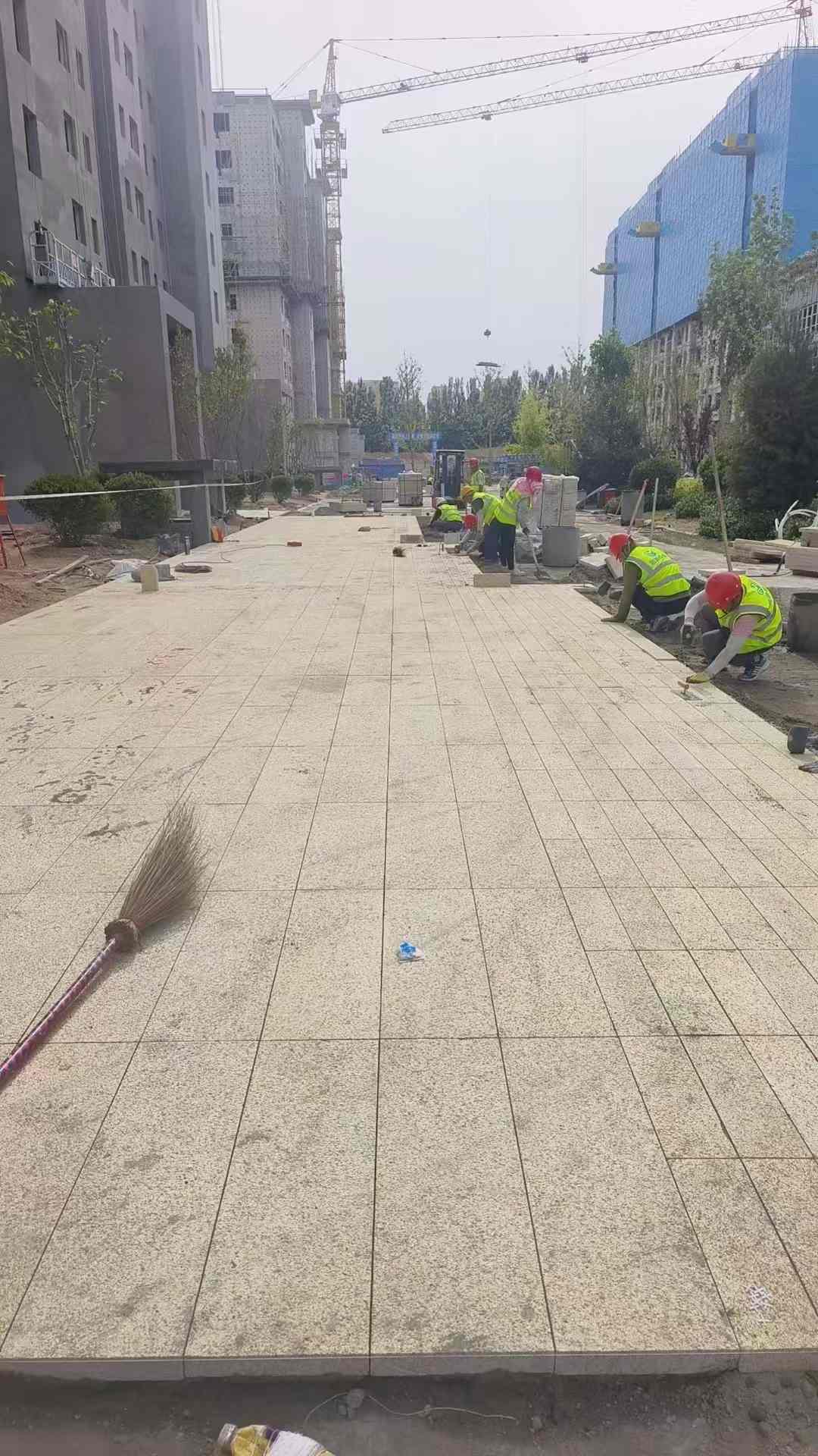 东营黄金麻荔枝面地铺案例