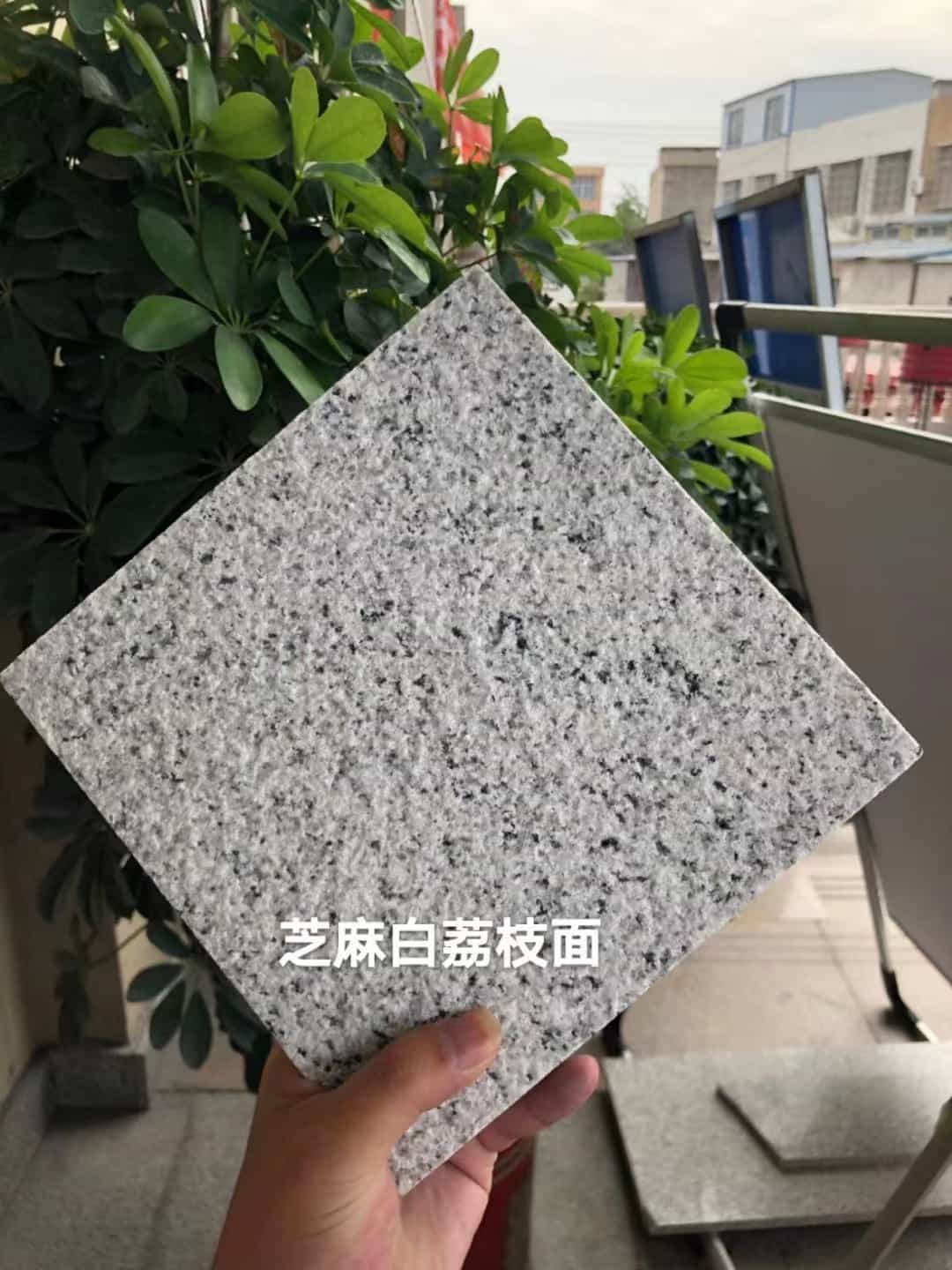 东营 芝麻白荔枝面干挂