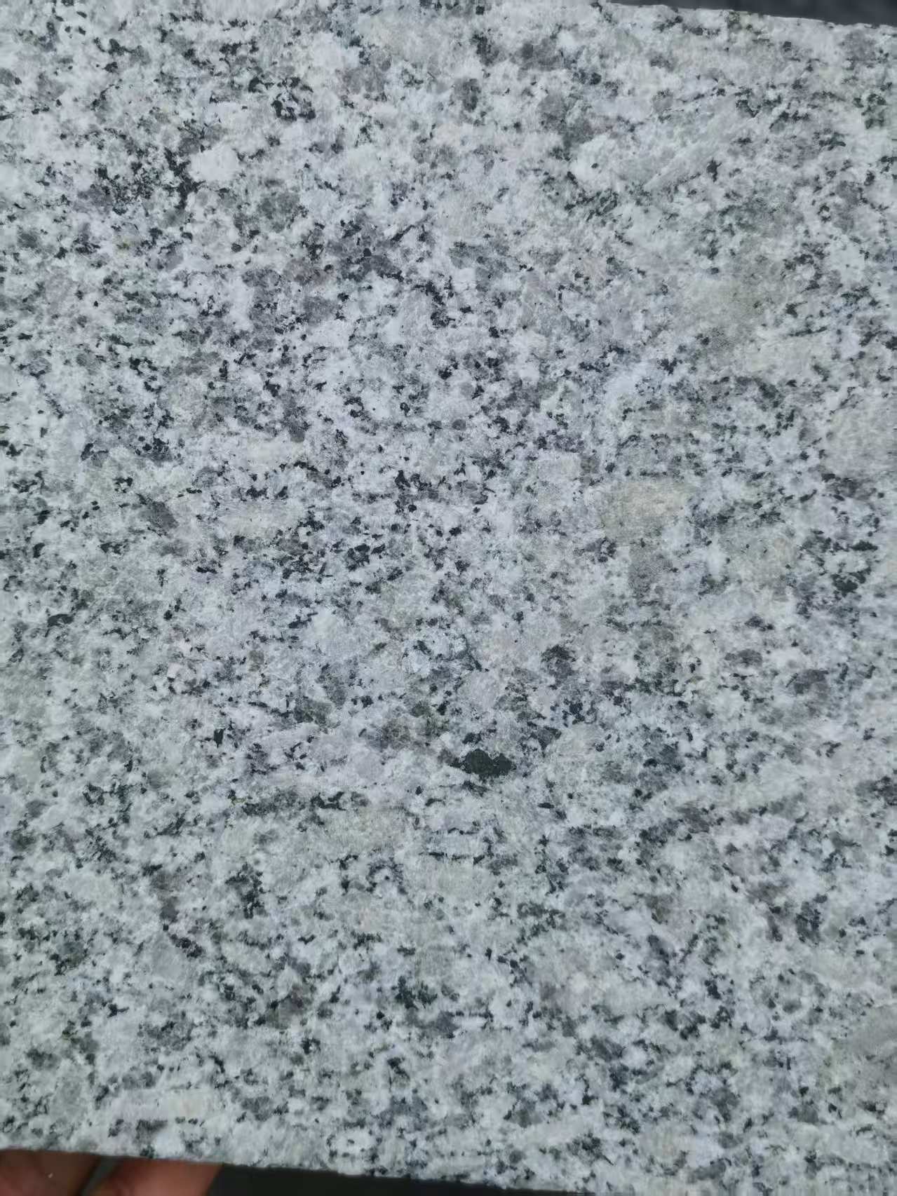 东营 芙蓉白火烧面