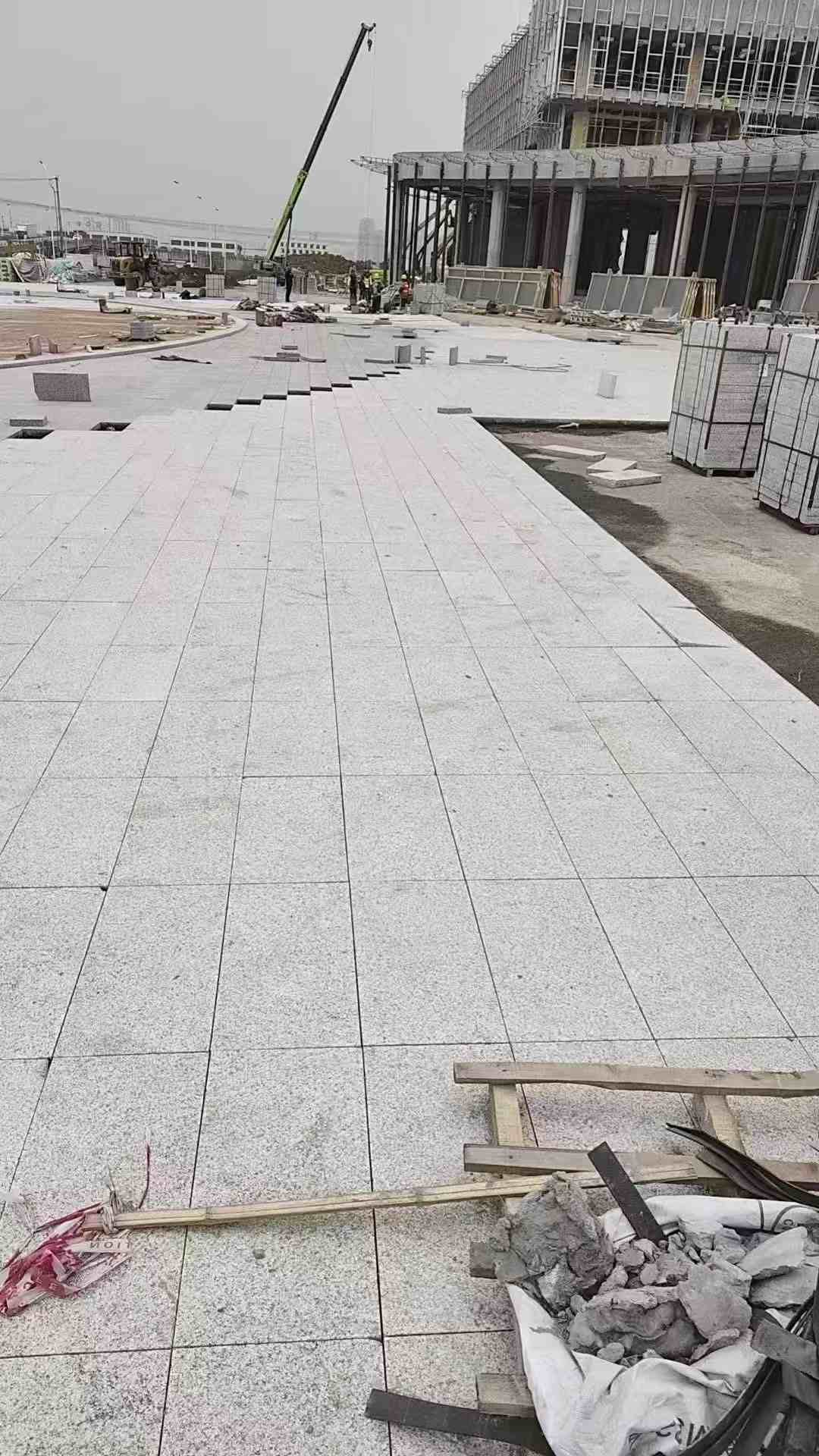 东营芝麻白地铺案例