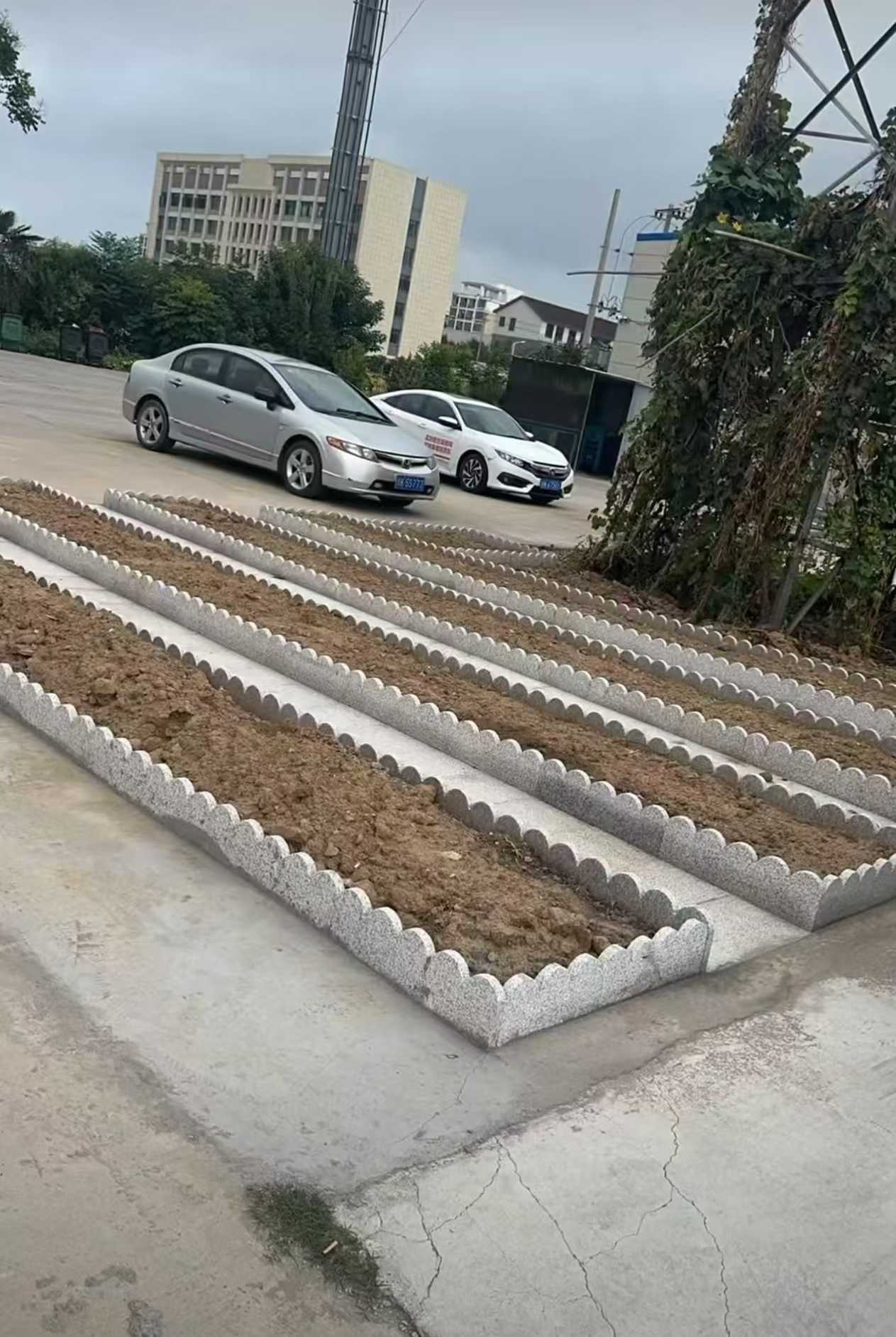 东营 花边石、花围石、花园石安装效果