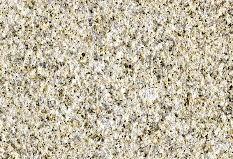 东营黄金麻荔枝面浅黄